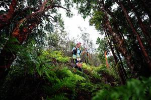 BIB: 
                            <button type="button" onclick="openModal(26204089)" class="btn btn-primary btn-sm float-right btn-popup" data-toggle="modal" data-target=".modal-high-quality">
                        <i class="fas fa-shopping-cart"></i> Add to Cart
                    </button>
                                            <button type="button" onclick="isThisMe(26204089, true)" class="btn btn-success btn-sm float-right btn-popup btn-isme hidden" data-toggle="tooltip" data-placement="bottom" title="นี่คือรูปของคุณใช่ไหม คลิกที่นี่เพื่อเอาเข้าอัลบั้ม">
                        <i class="fas fa-plus"></i> Add to album
                    </button>
                    <button type="button" onclick="isThisMe(26204089, false)" class="btn btn-warning btn-sm float-right btn-popup btn-isnotme hidden">
                        <i class="fas fa-ban"></i> Remove from album
                    </button>